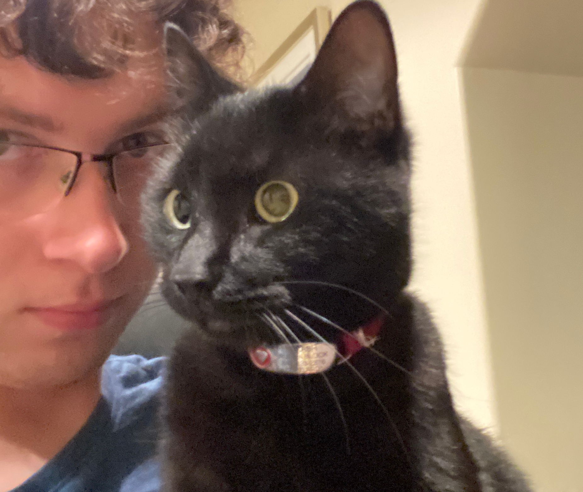 My cat!