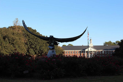 Seahawk Sculpture